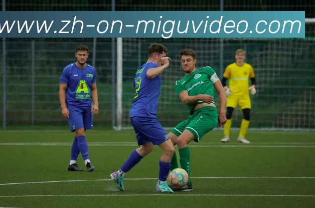 多媒体互动体验